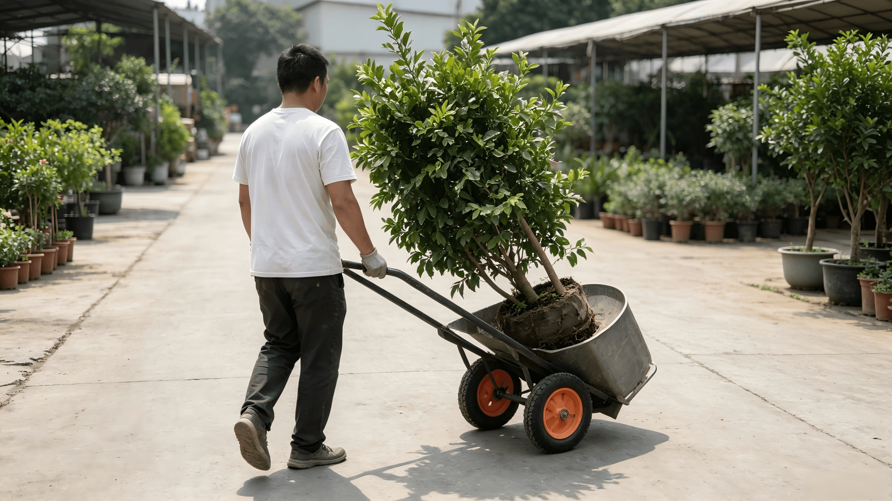 Solid Rubber Wheels and Pneumatic Wheels